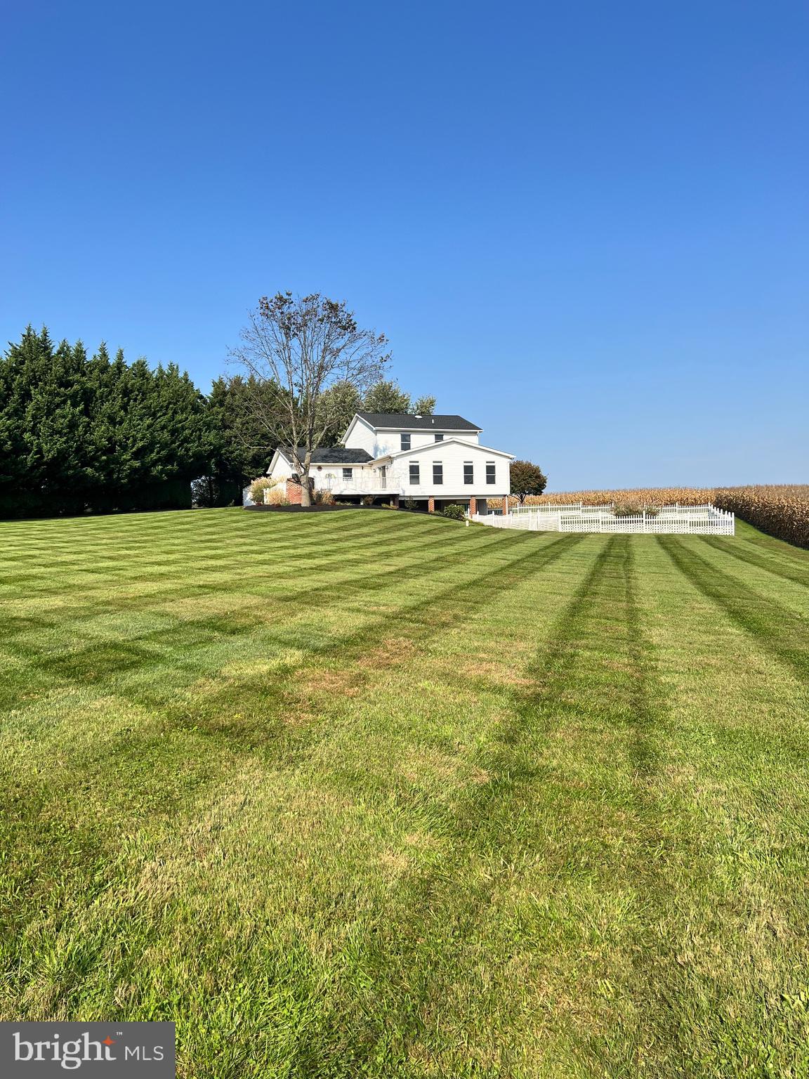 4769 Wentz Road Manchester, MD 21102 - Photo 39 of 50 Those Mow LINE! 😍