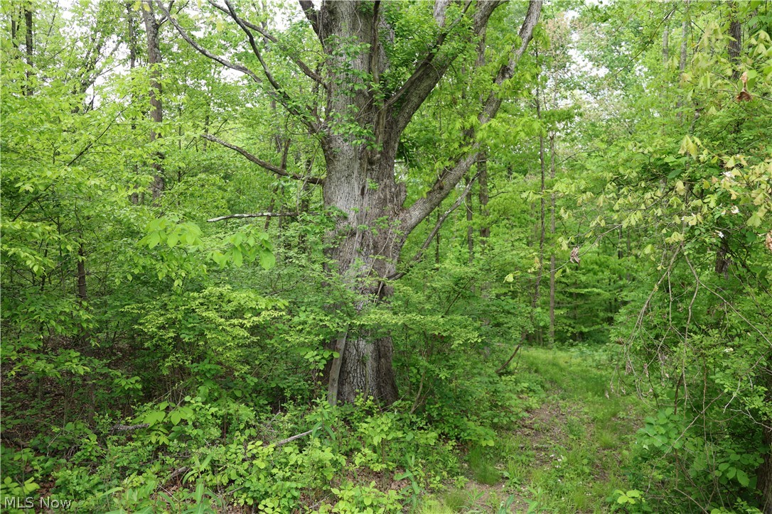 61342 High Hill Road Cambridge, OH 43725 - Photo 28 of 37