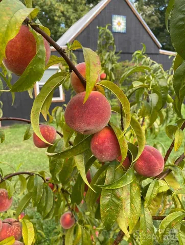 a view of a wooden floor