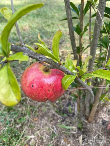 $375,000 | 4565 Rob Neal Road, Heath Springs, SC 29058