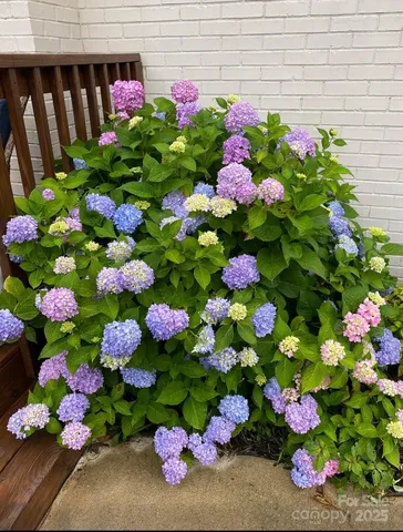 $375,000 | 4565 Rob Neal Road, Heath Springs, SC 29058