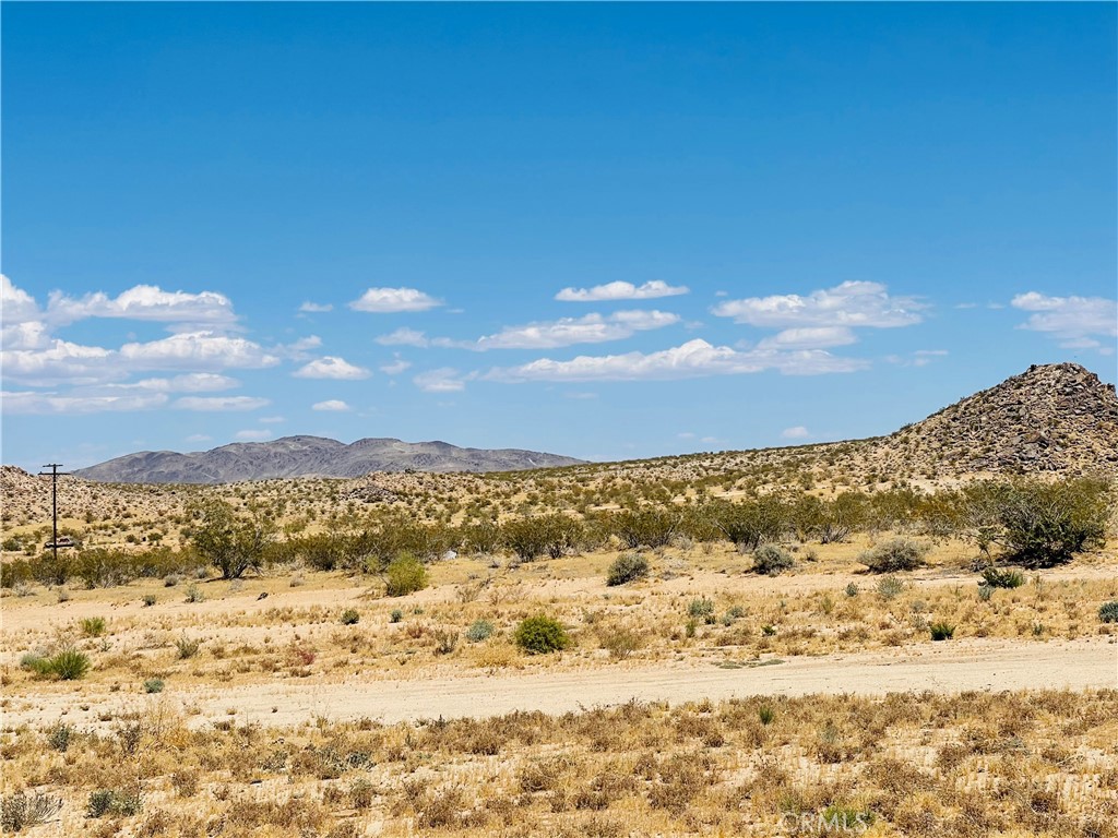5827 Old Woman Springs Road Johnson Valley, CA 92285 - Photo 12 of 13