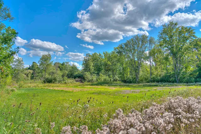 $55,000 | Vl Spring Arbor Road, Spring Arbor, MI 49283