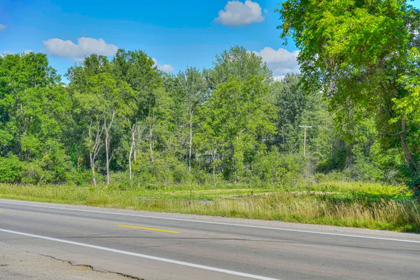 $55,000 | Vl Spring Arbor Road, Spring Arbor, MI 49283