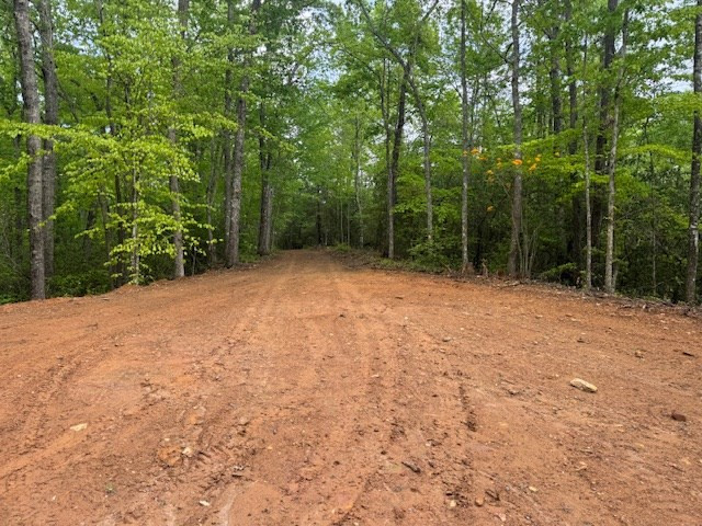 0 Tyler Lane Marble, NC 28905 - Photo 20 of 31