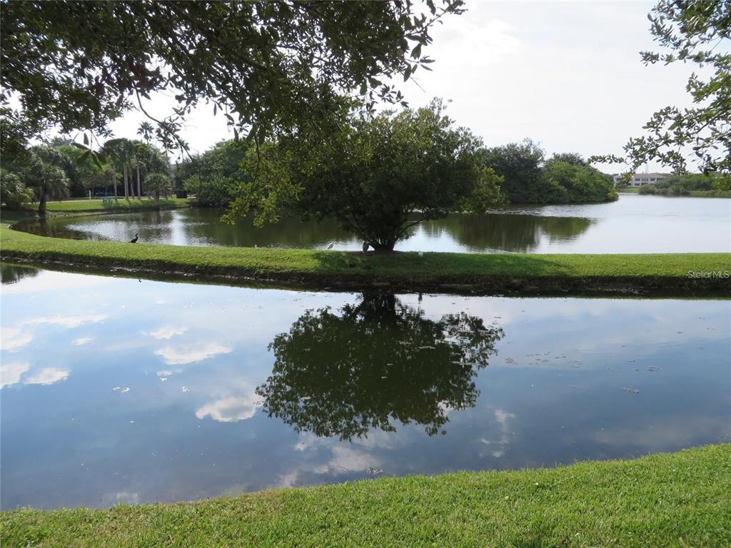 6450 Shoreline Drive, Unit 9405 St. Petersburg, FL 33708 - Photo 26 of 36 a view of a lake with a lake