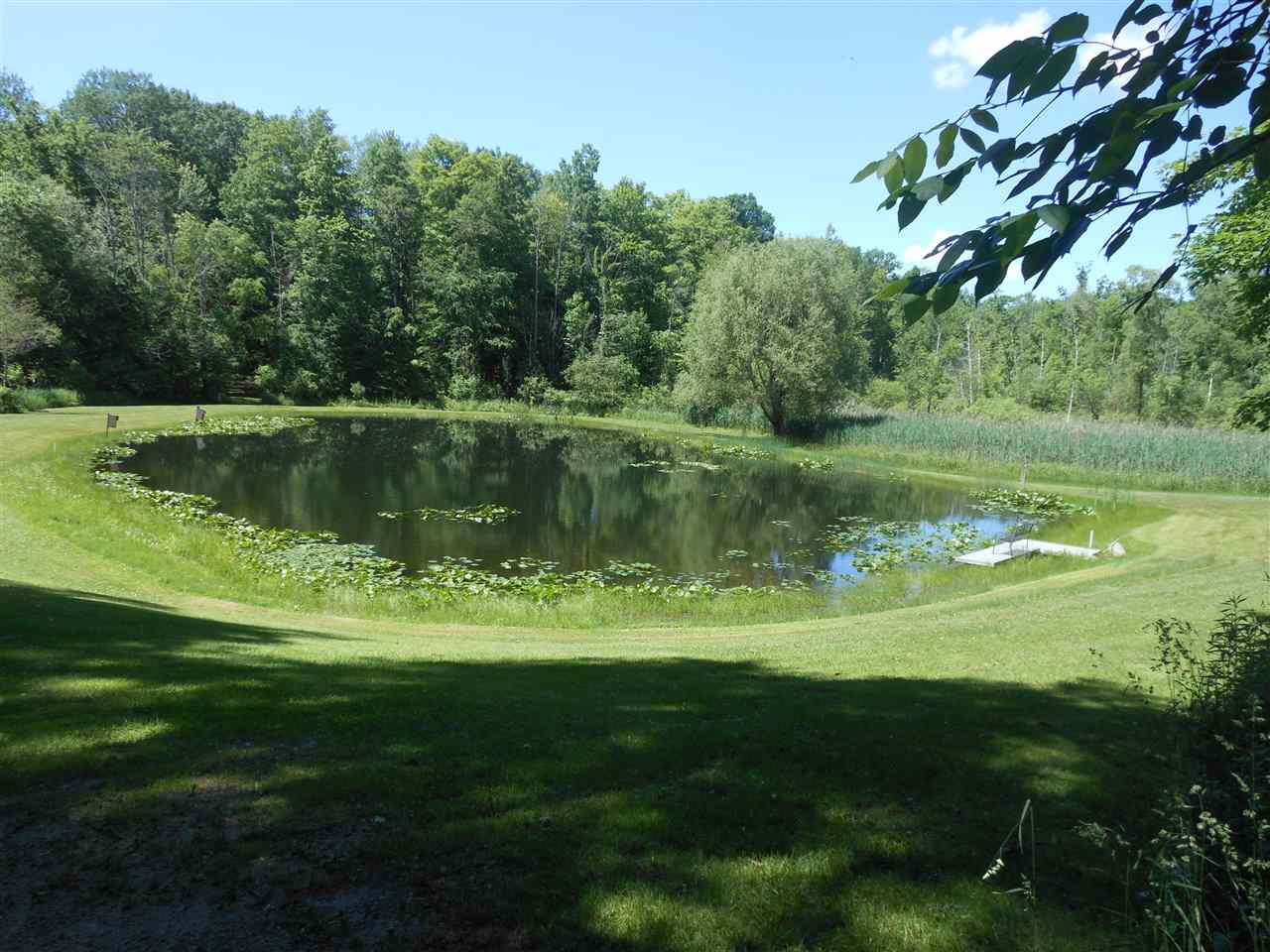 10202 Oak Road Millington, MI 48746 - Photo 2 of 33 31384924-1.JPG