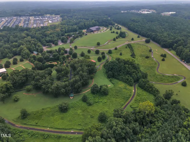 an outdoor view of green forest