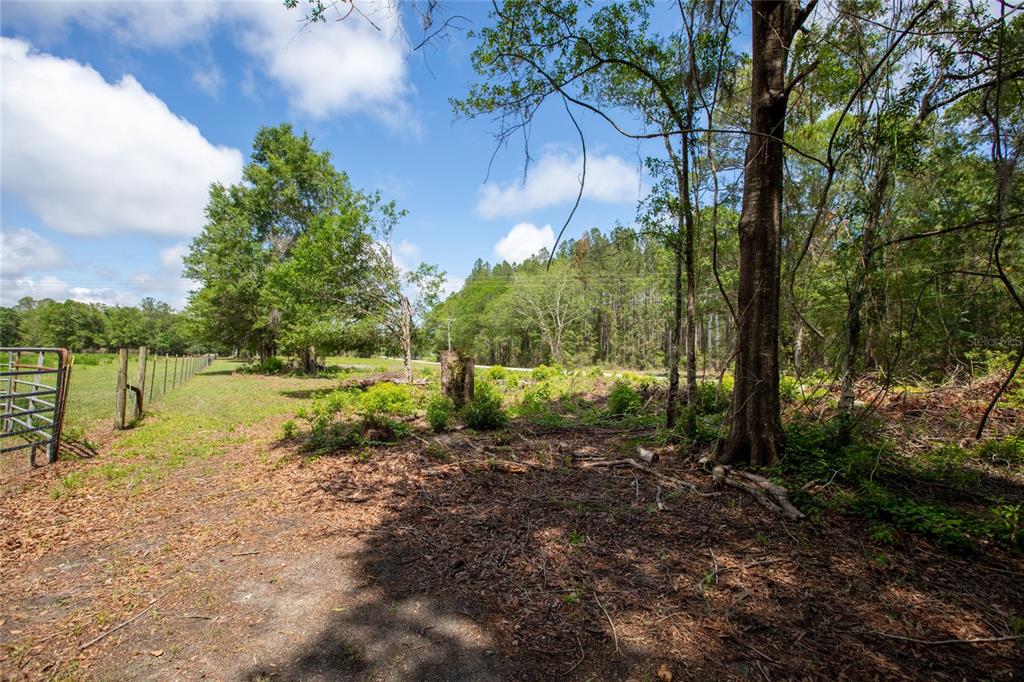 Northwest 185th Street Starke, FL 32091 - Photo 12 of 19 a view of a garden with a house in the background