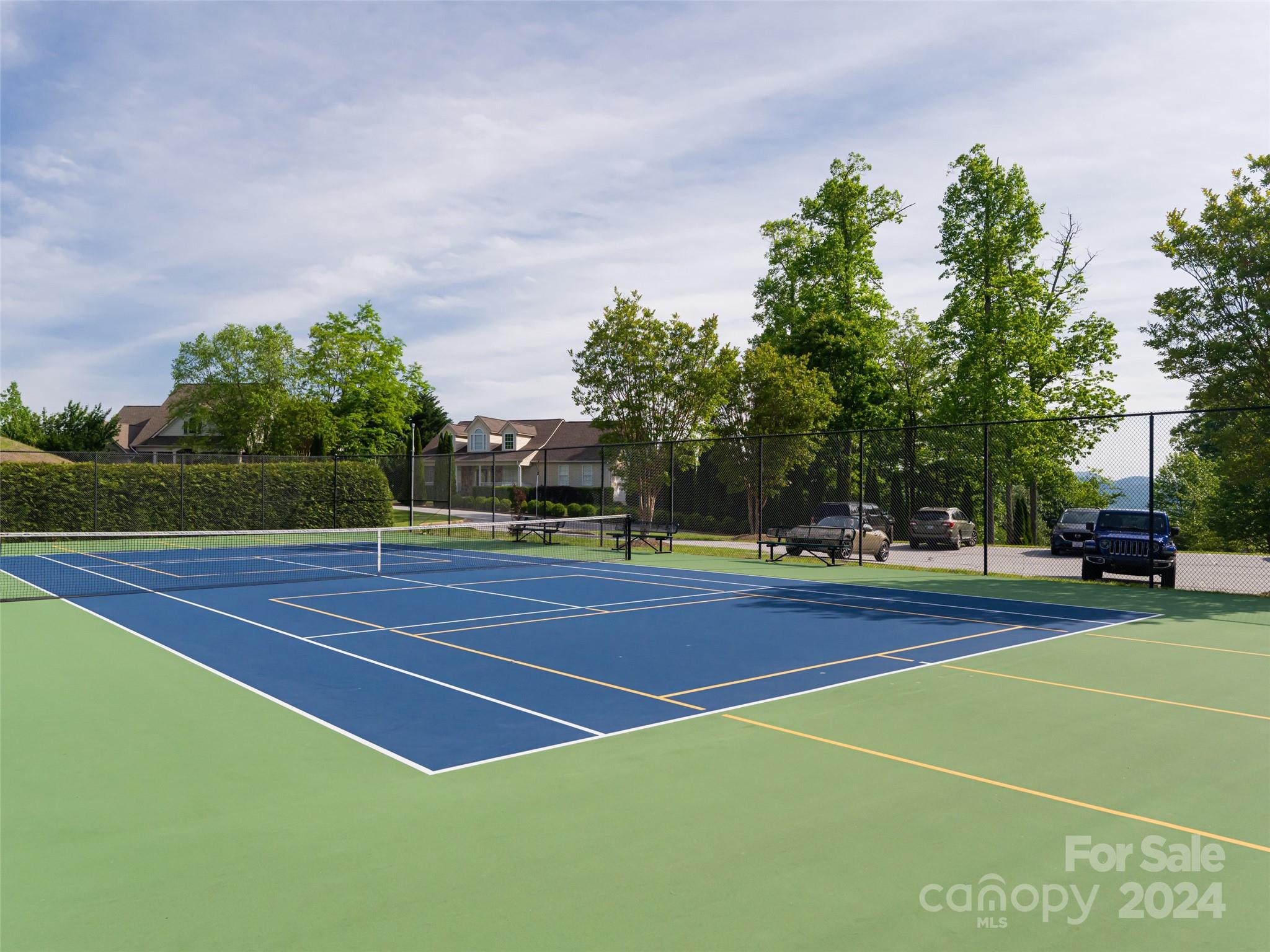 113 Millbrae Loop Hendersonville, NC 28791 - Photo 35 of 35 a view of a tennis court
