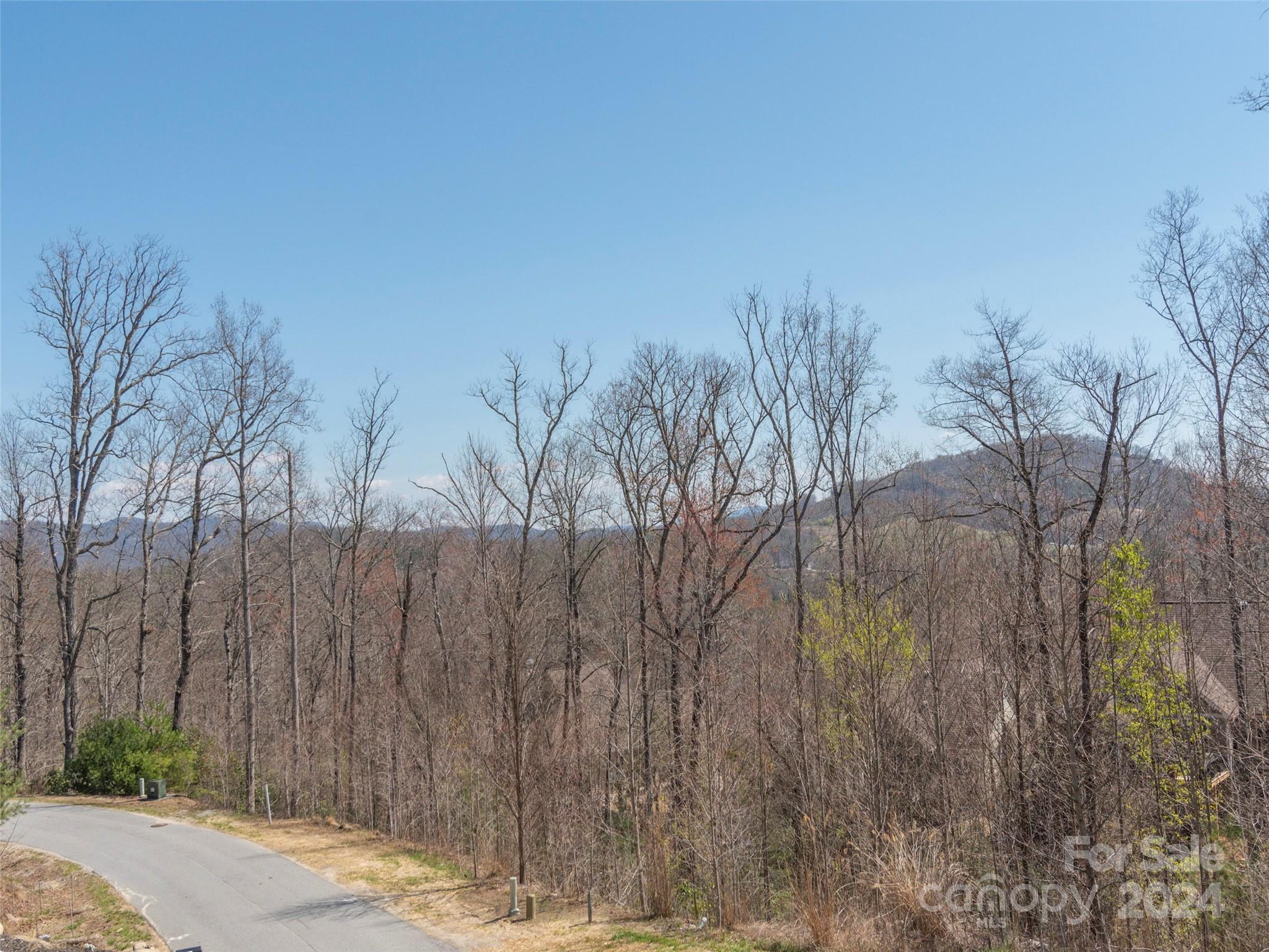 113 Millbrae Loop Hendersonville, NC 28791 - Photo 4 of 35 a view of a backyard of the house