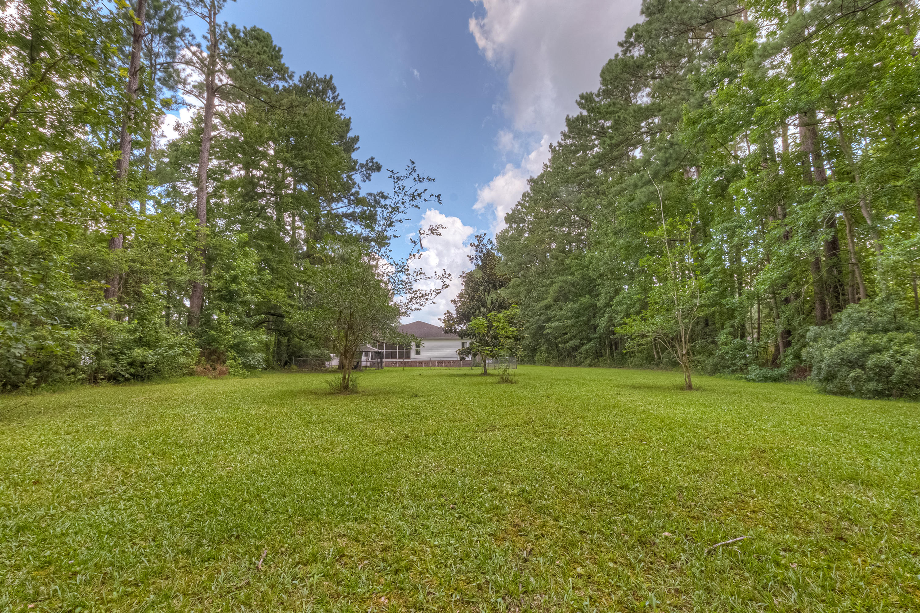1837 Highway 61 Ridgeville, SC 29472 - Photo 49 of 54 Backyard