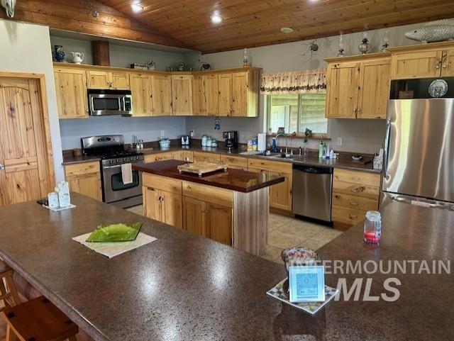 1621 Doumecq Road White Bird, ID 83554 - Photo 27 of 50