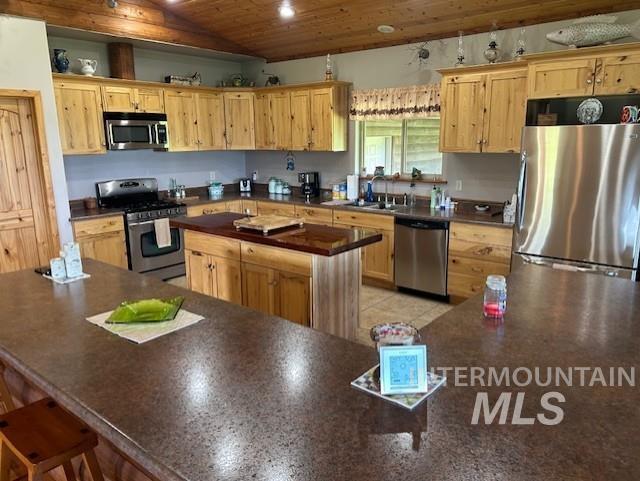 1621 Doumecq Road White Bird, ID 83554 - Photo 27 of 50