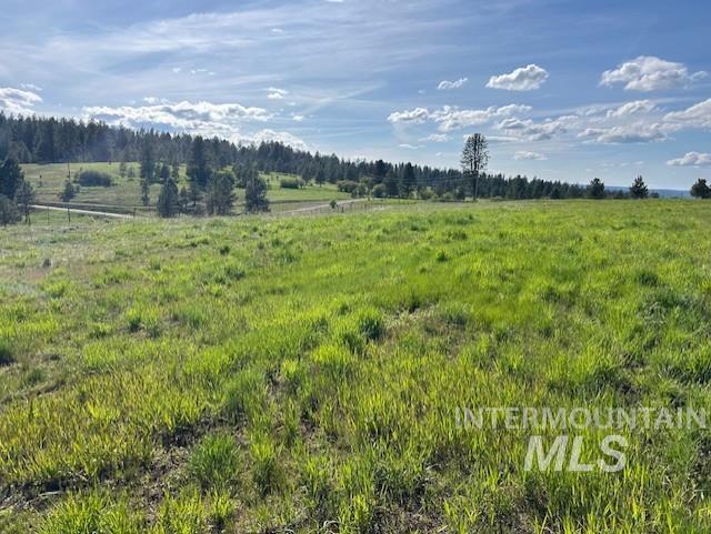 1621 Doumecq Road White Bird, ID 83554 - Photo 36 of 50