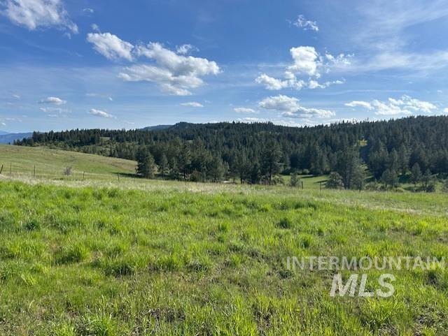 1621 Doumecq Road White Bird, ID 83554 - Photo 37 of 50