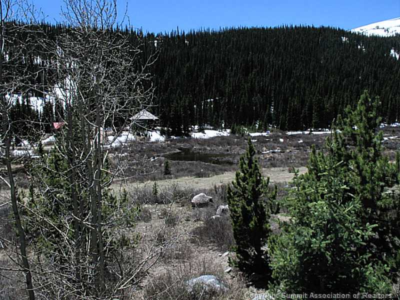 142 Blue Lakes Road Breckenridge, CO 80424 - Photo 20 of 25 Exterior Back. View of stream from living room