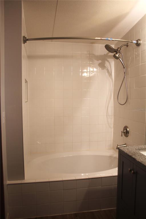 24427 Wild Turkey Road Paisley, FL 32767 - Photo 14 of 55 a bathroom with a shower and a bath tub