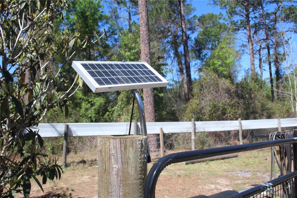 24427 Wild Turkey Road Paisley, FL 32767 - Photo 50 of 55 a view of small pool