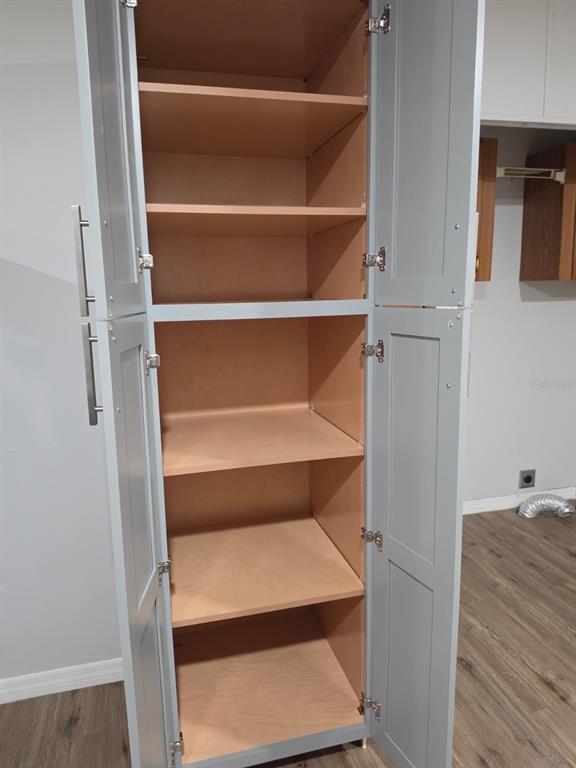 24427 Wild Turkey Road Paisley, FL 32767 - Photo 8 of 55 a view of walk in closet with empty racks