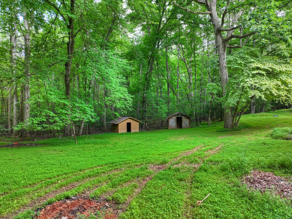 232 Chestnut Gap Road Blue Ridge, GA 30513 - Photo 30 of 37