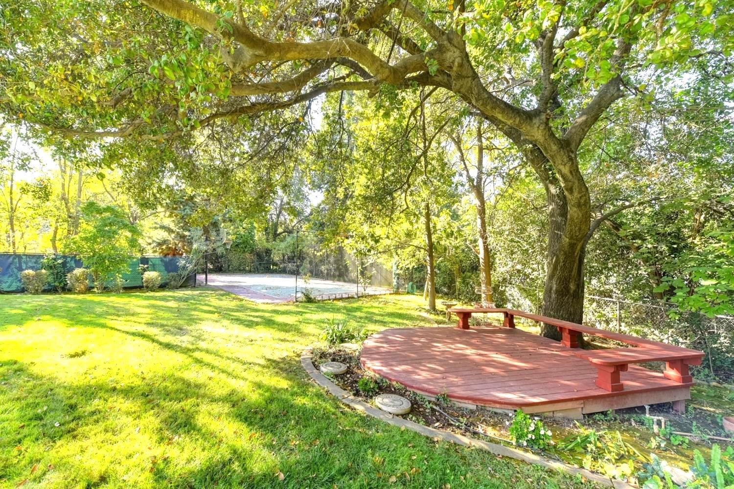557 Crocker Road Sacramento, CA 95864 - Photo 10 of 21 a view of a backyard with large trees