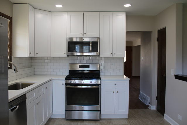 724 Barnsdale Road, Unit 2 La Grange Park, IL 60526 - Photo 4 of 20 a kitchen with cabinets stainless steel appliances and a sink