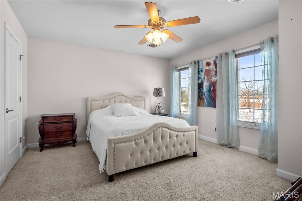 882 Edward Street St. Libory, IL 62282 - Photo 33 of 60