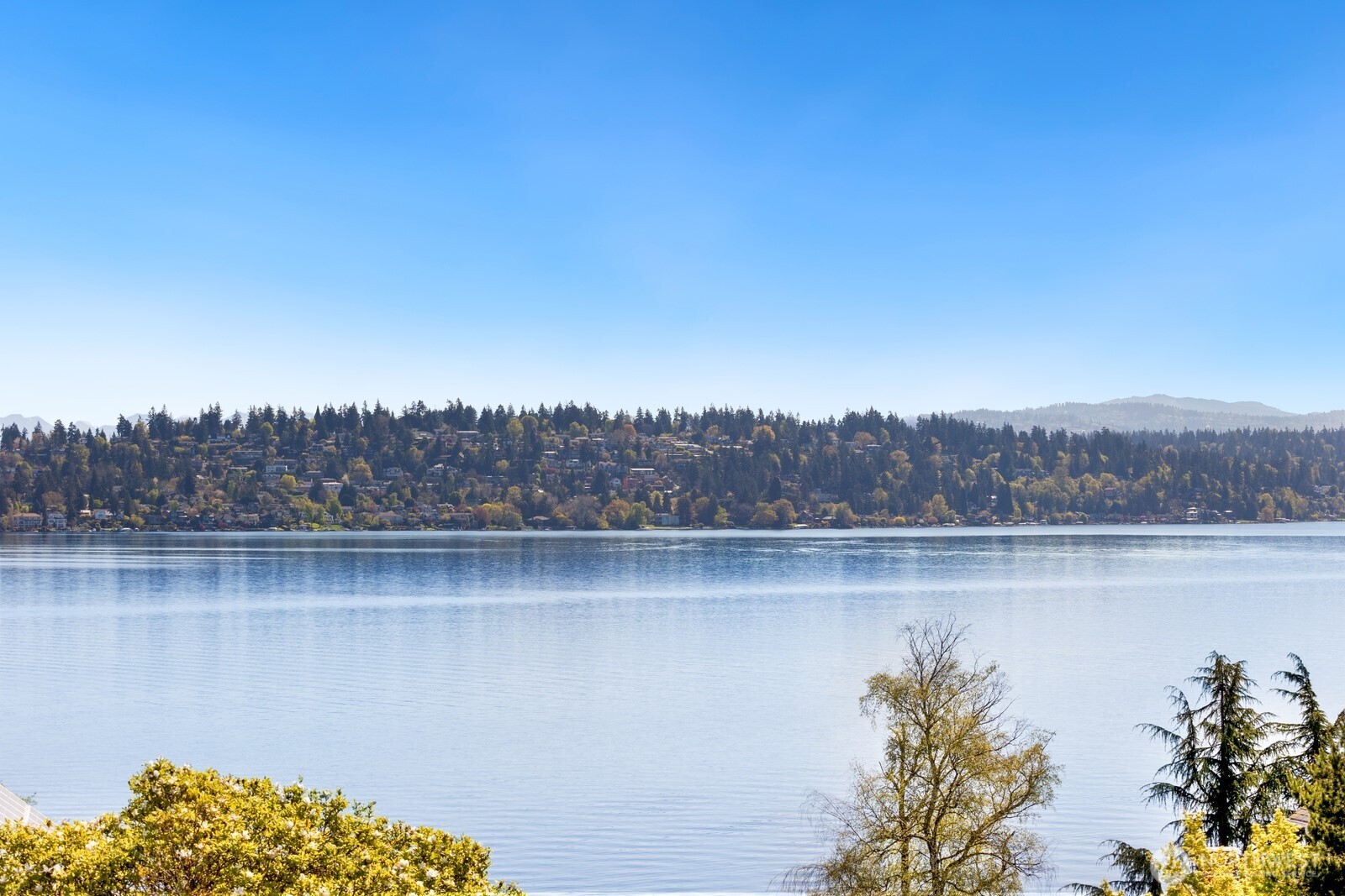 1521 36th Avenue South Seattle, WA 98144 - Photo 27 of 37