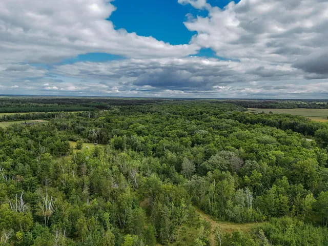 $295,000 | 17279 284th Street, Sebeka, MN 56477