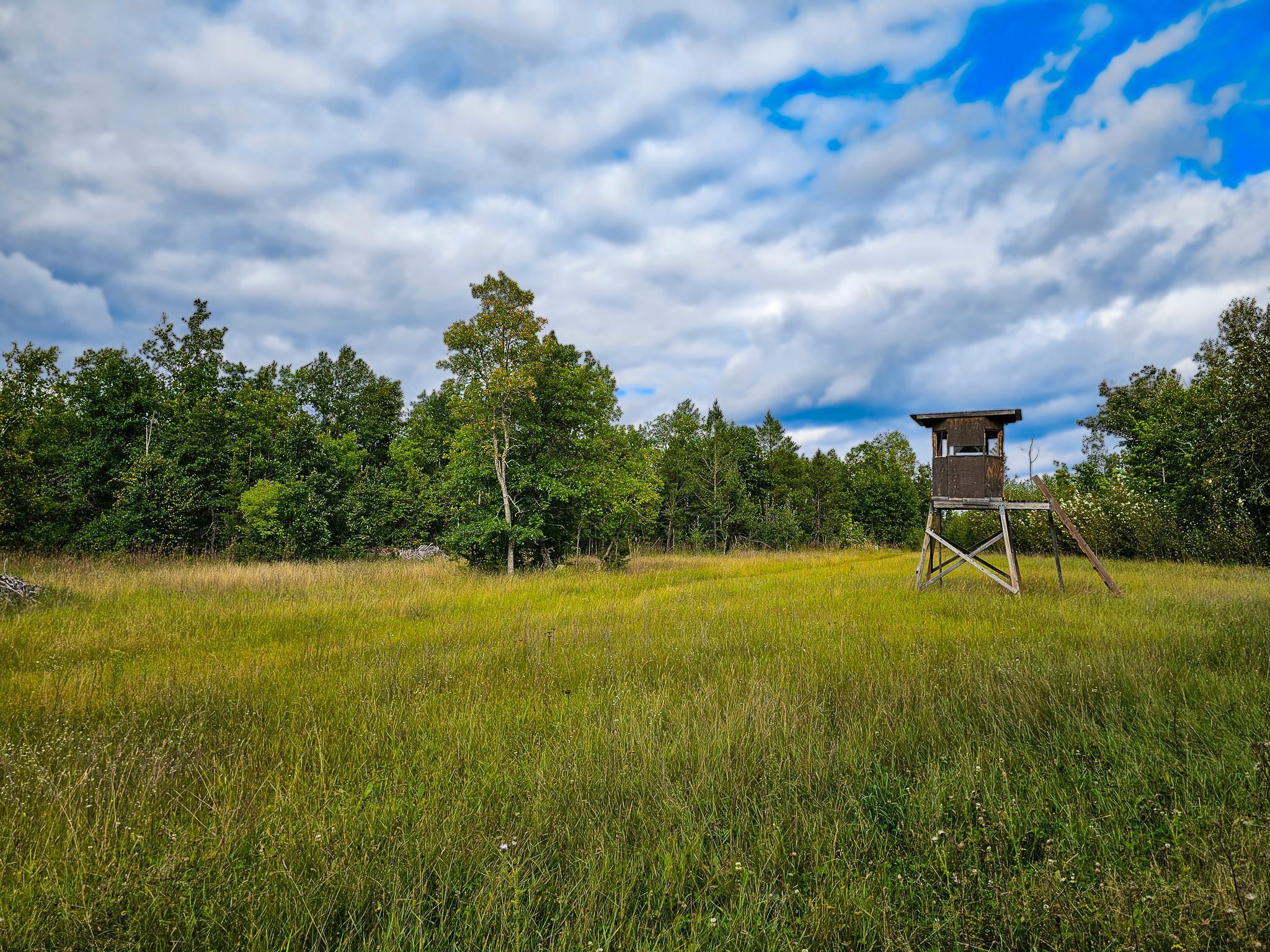 17279 284th Street Sebeka, MN 56477 - Photo 14 of 22