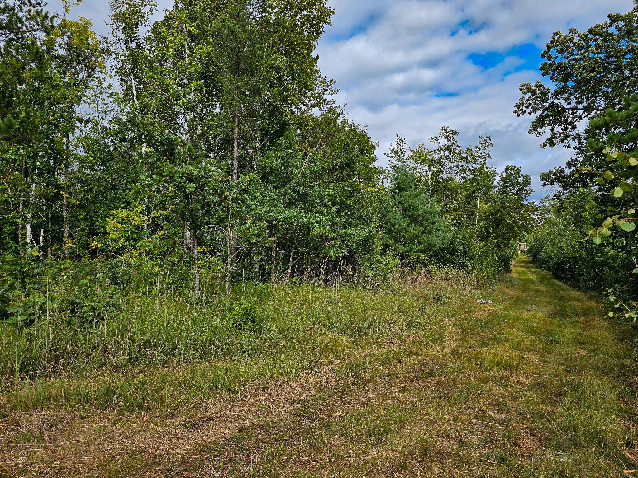 17279 284th Street Sebeka, MN 56477 - Photo 15 of 22