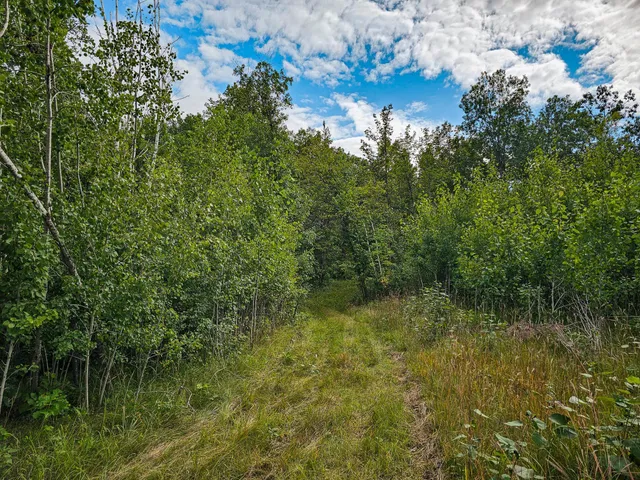 $295,000 | 17279 284th Street, Sebeka, MN 56477