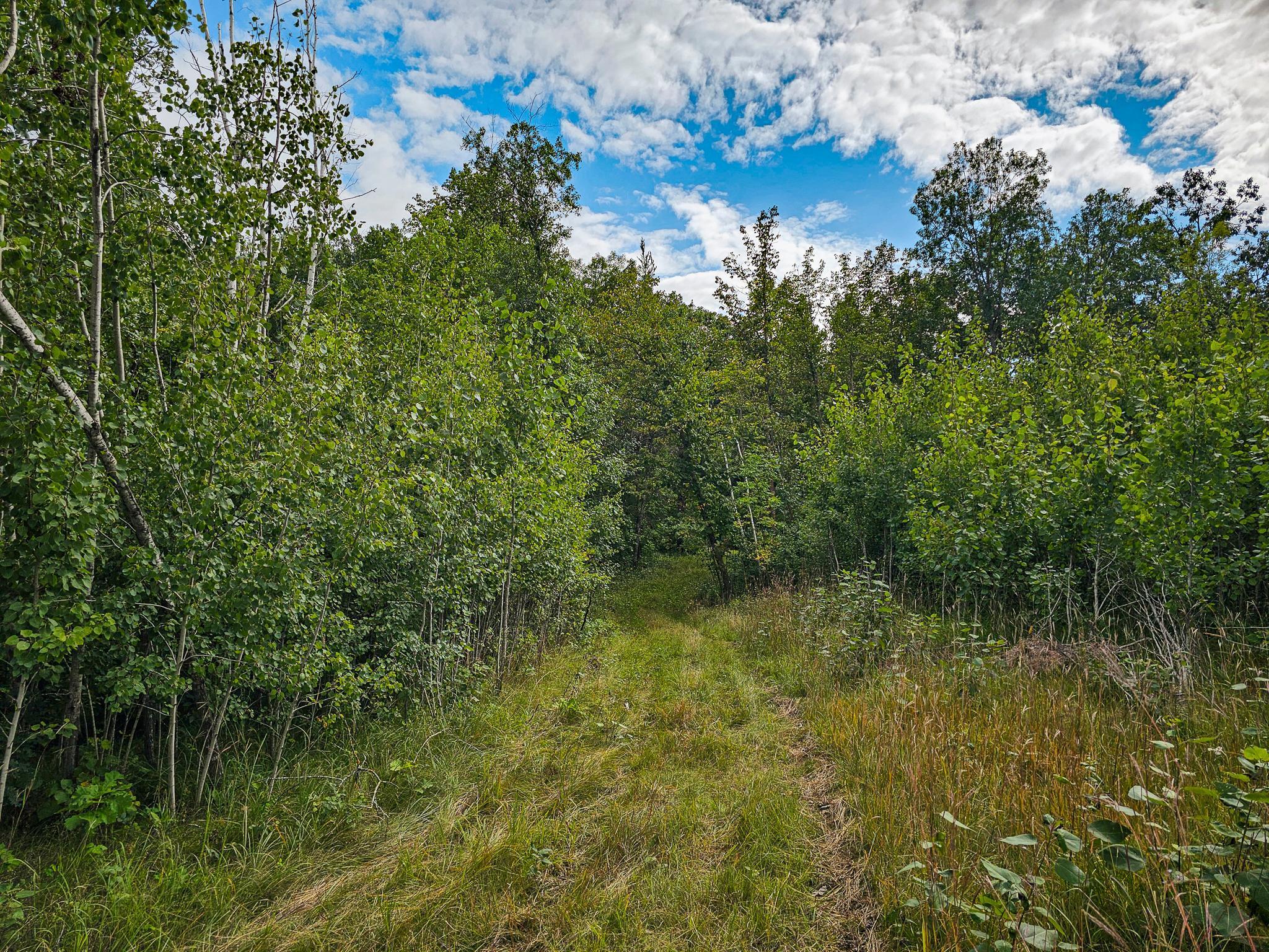 17279 284th Street Sebeka, MN 56477 - Photo 17 of 22