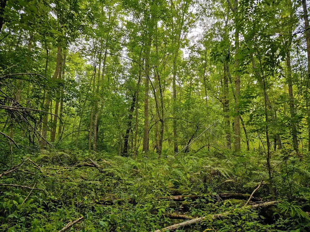 $295,000 | 17279 284th Street, Sebeka, MN 56477