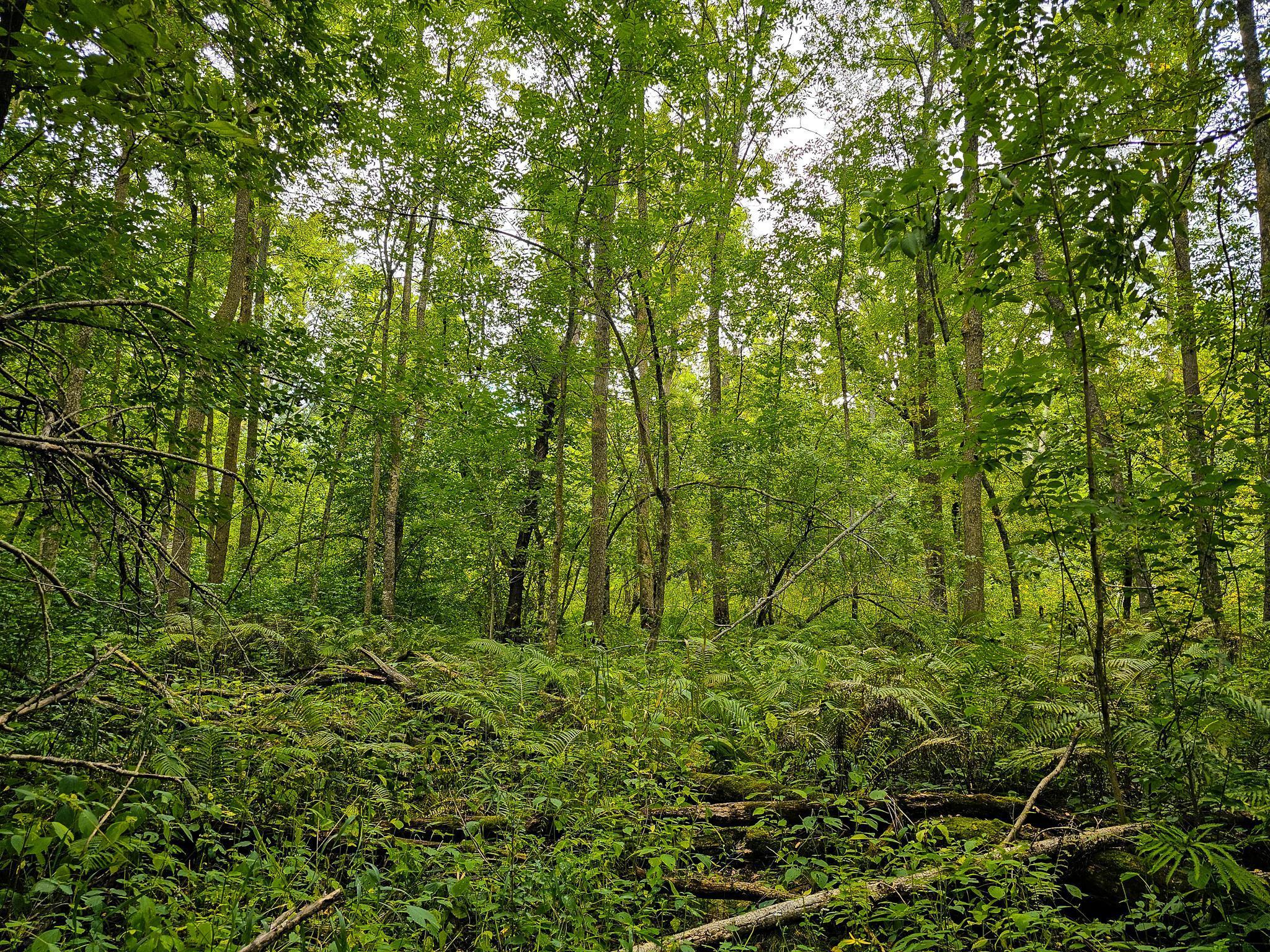 17279 284th Street Sebeka, MN 56477 - Photo 20 of 22