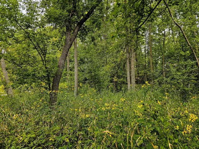 $295,000 | 17279 284th Street, Sebeka, MN 56477