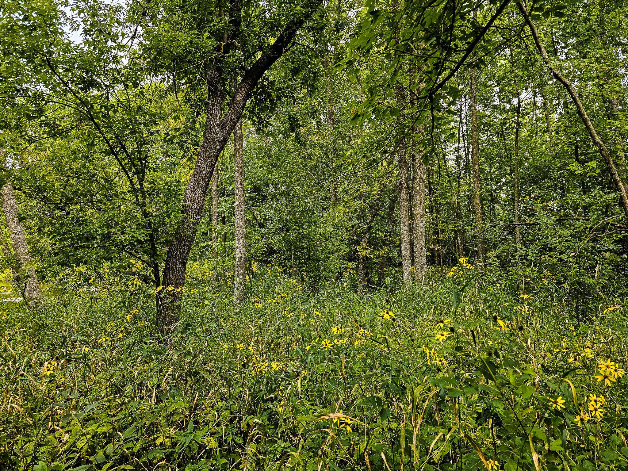17279 284th Street Sebeka, MN 56477 - Photo 21 of 22