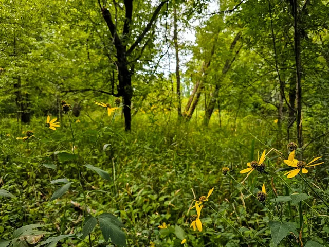 $295,000 | 17279 284th Street, Sebeka, MN 56477