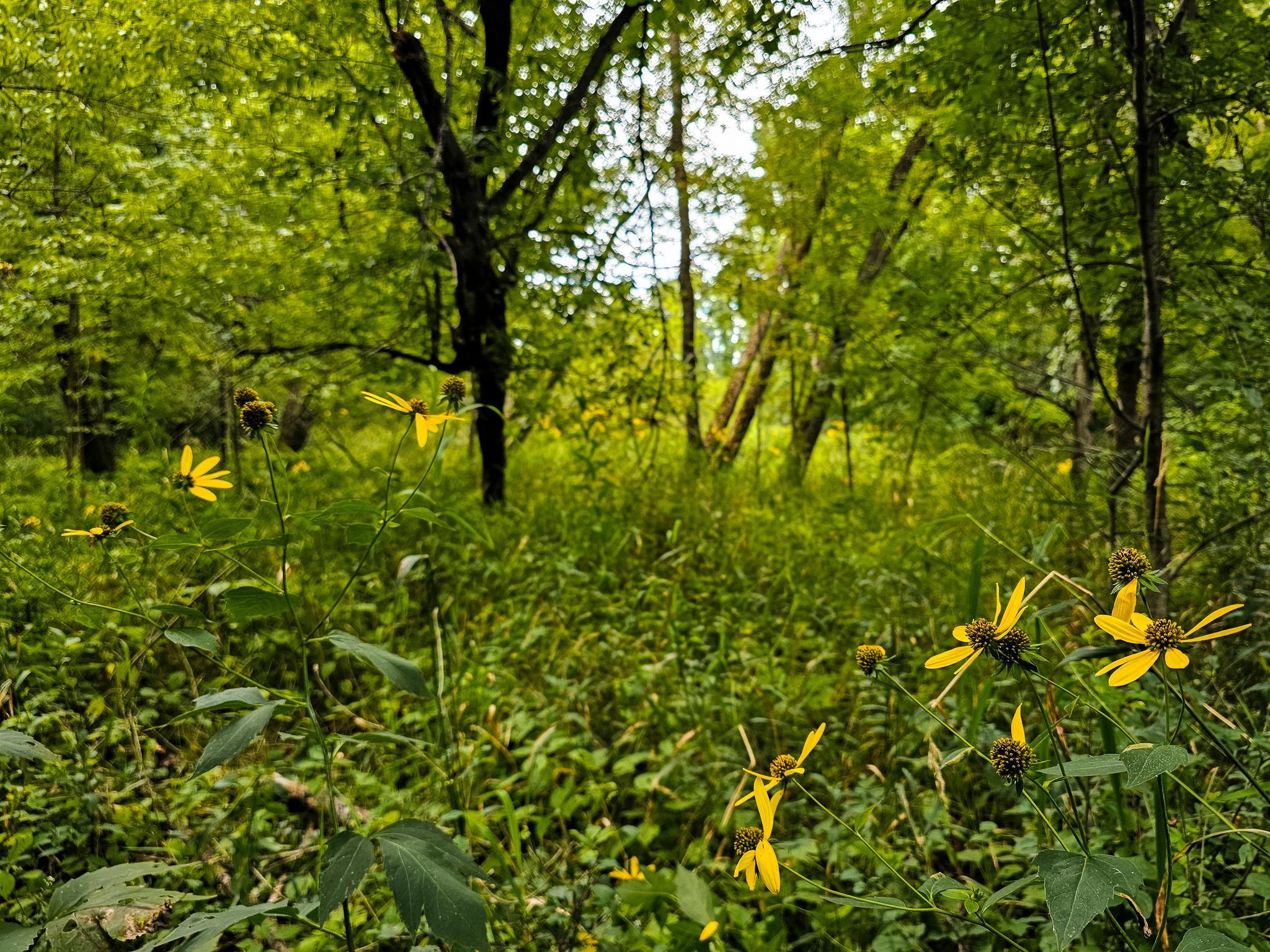 17279 284th Street Sebeka, MN 56477 - Photo 22 of 22