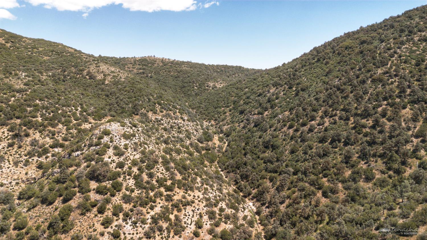 0 Back Canyon Road Caliente, CA 93518 - Photo 11 of 17 Gallery Image 11