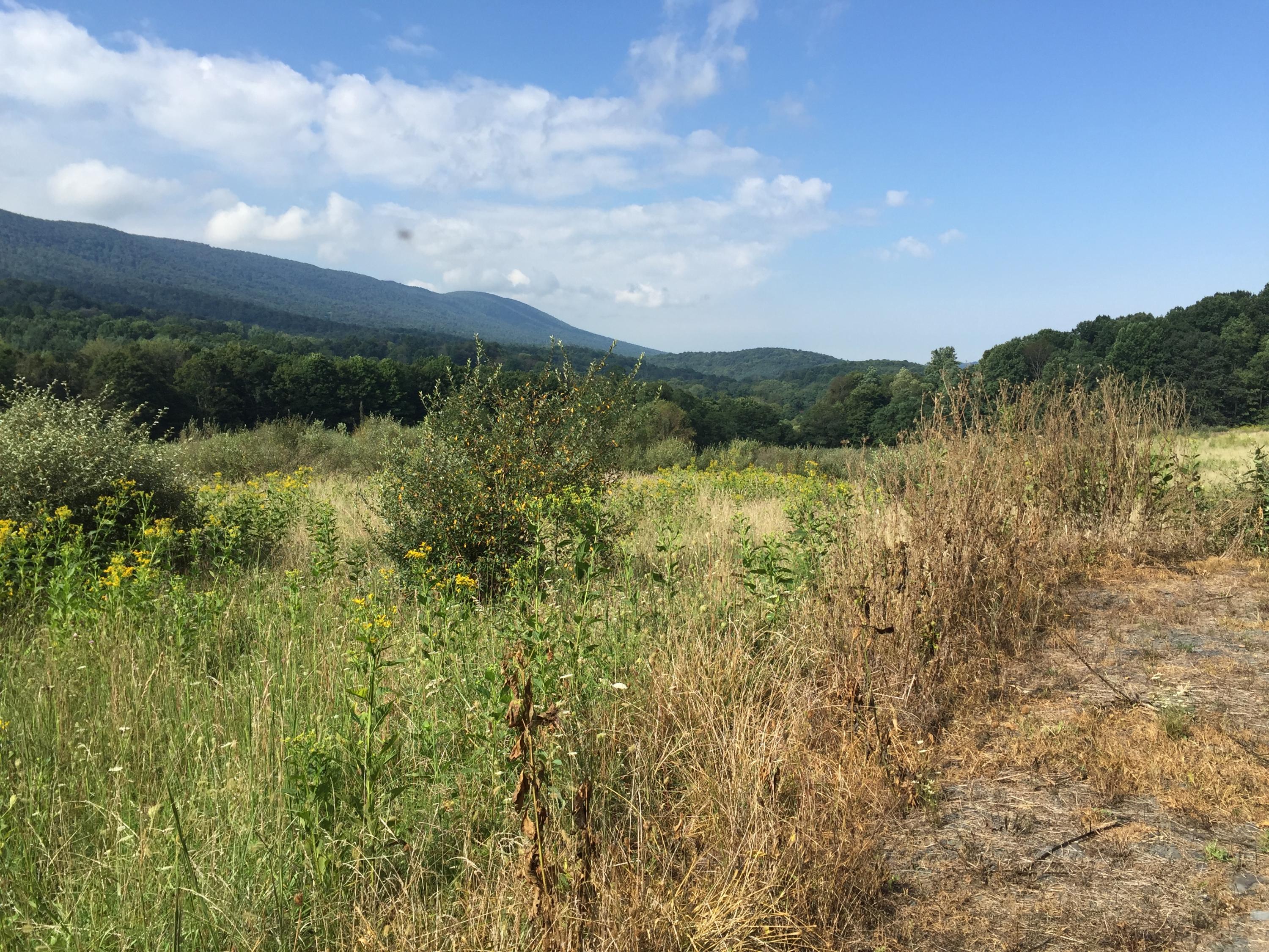 Zenith Road Fincastle, VA 24090 - Photo 11 of 20 Gallery Image 11