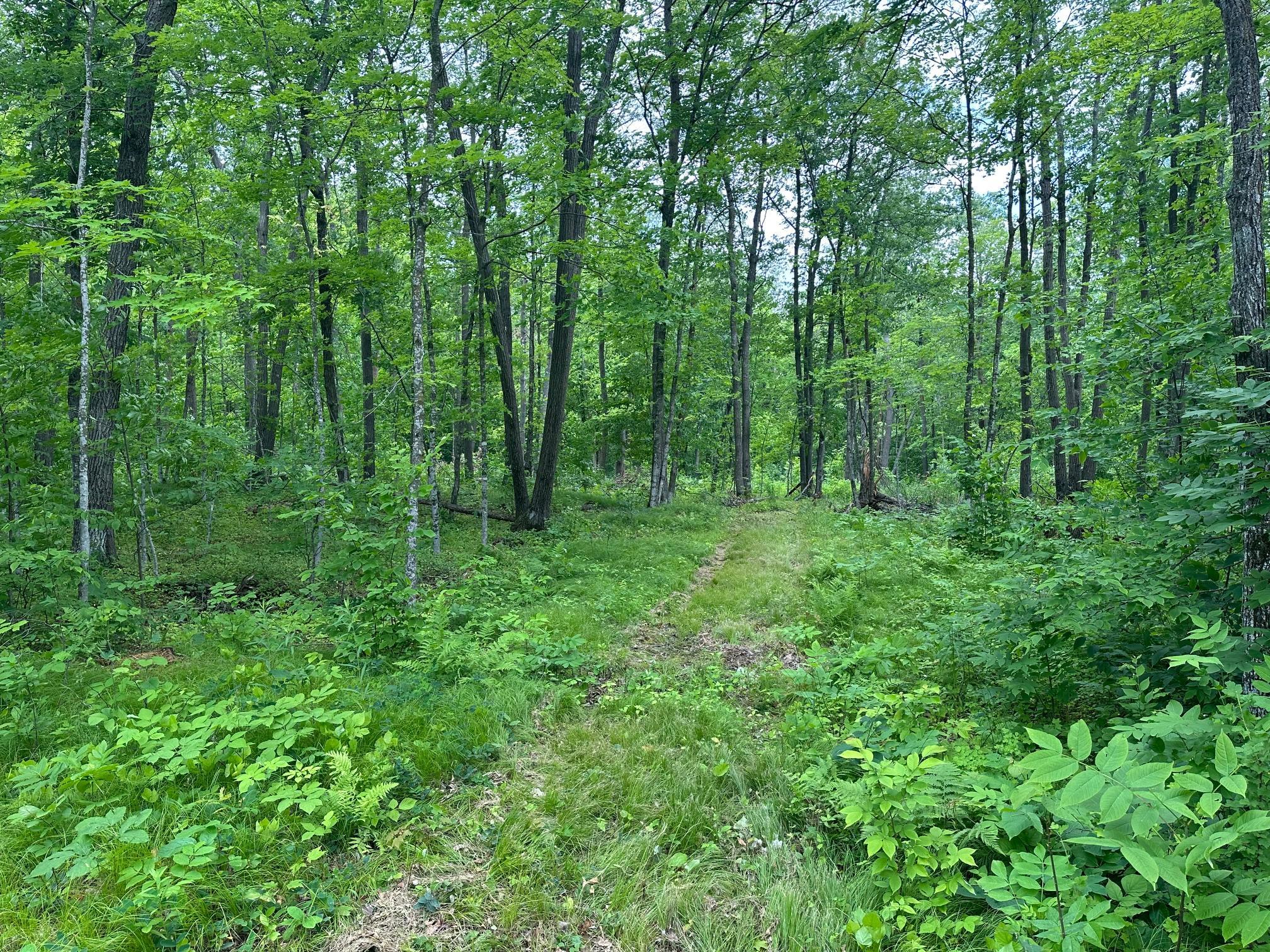 Tbd Tbd Tamarac Road Onamia, MN 56359 - Photo 35 of 49