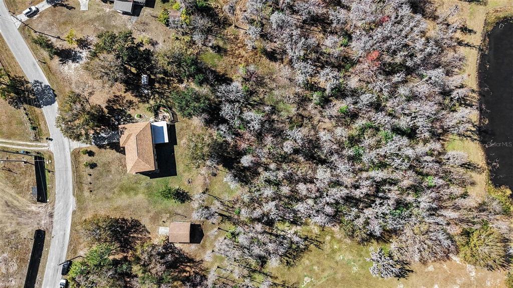 17511 Eagle Lane Lutz, FL 33558 - Photo 27 of 30