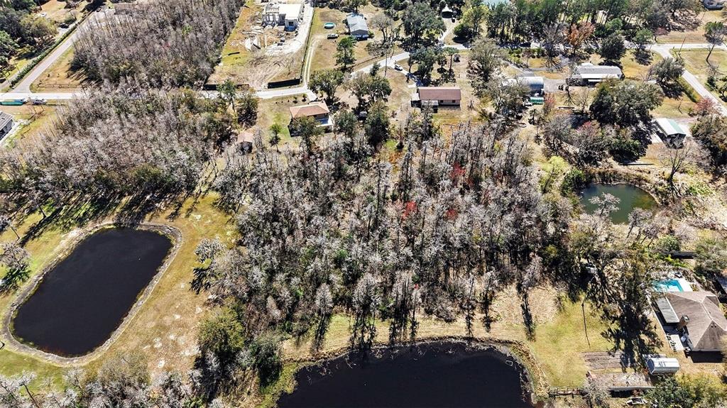 17511 Eagle Lane Lutz, FL 33558 - Photo 28 of 30