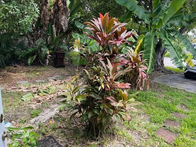 $1,400 | 2023 Delphia Street, West Palm Beach, FL 33401