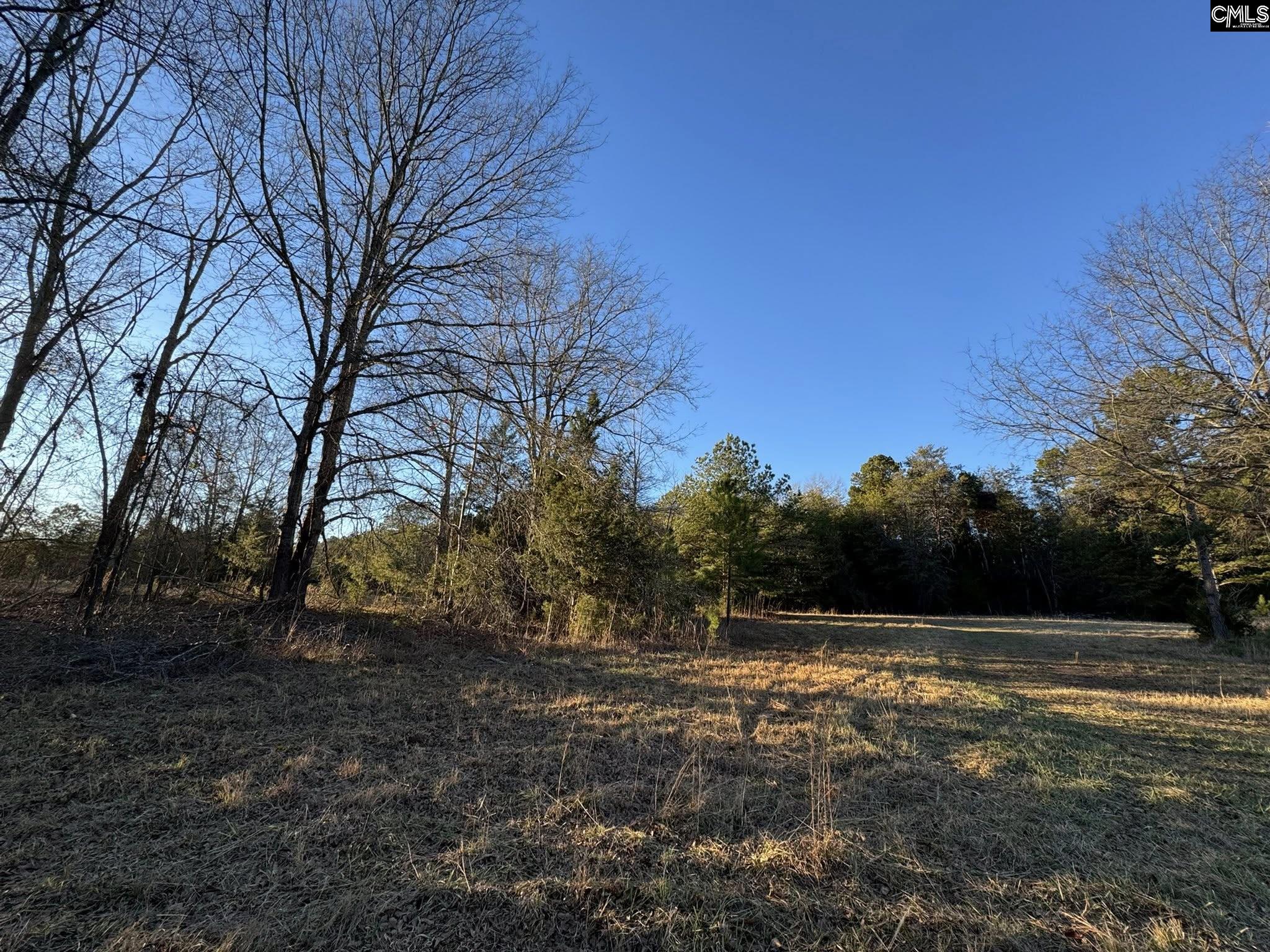150 Floyd Lanford Road Woodruff, SC 29388 - Photo 62 of 65