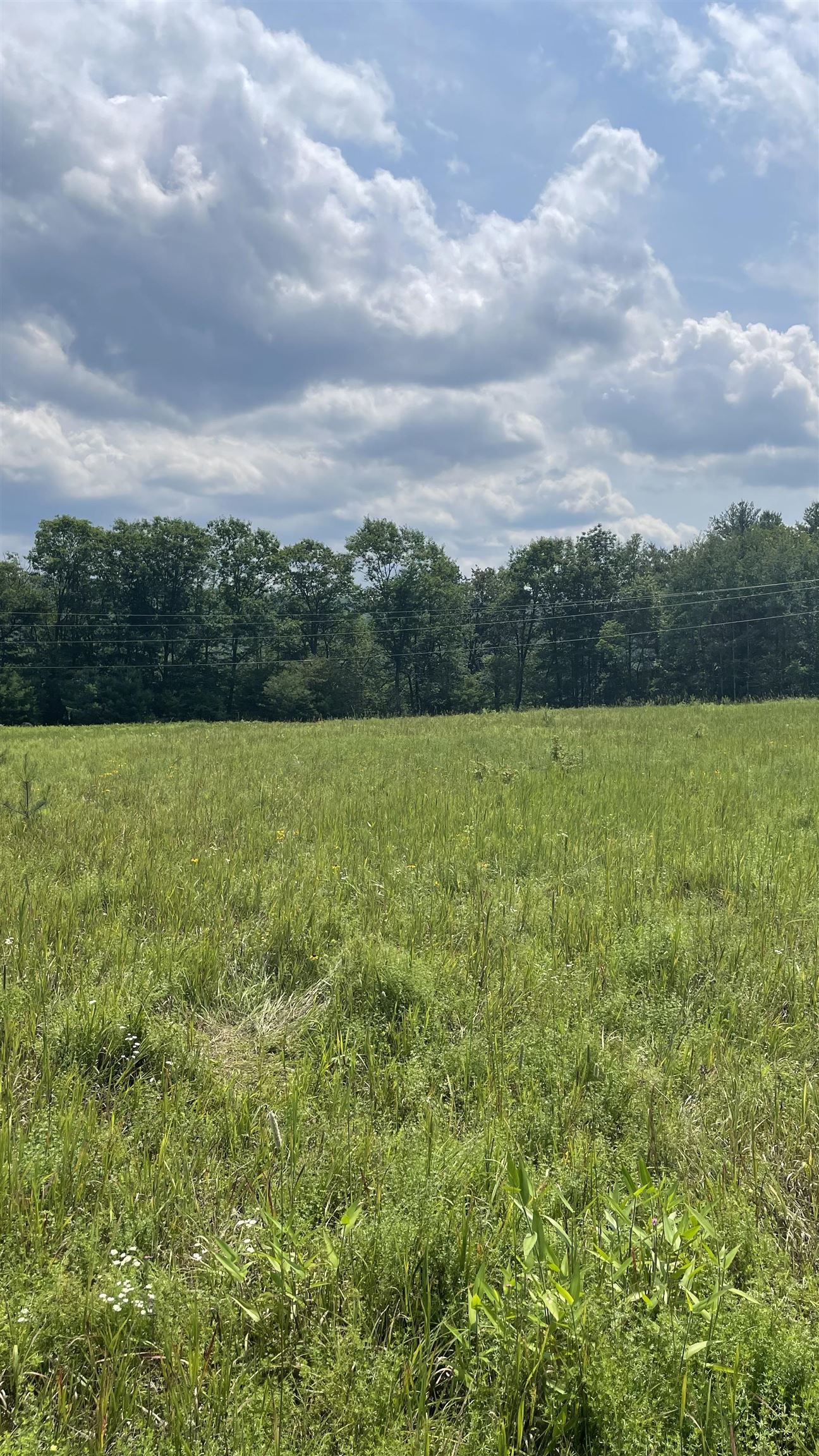 582 Bishop Road, Unit 14 Lisbon, NH 03585 - Photo 23 of 33