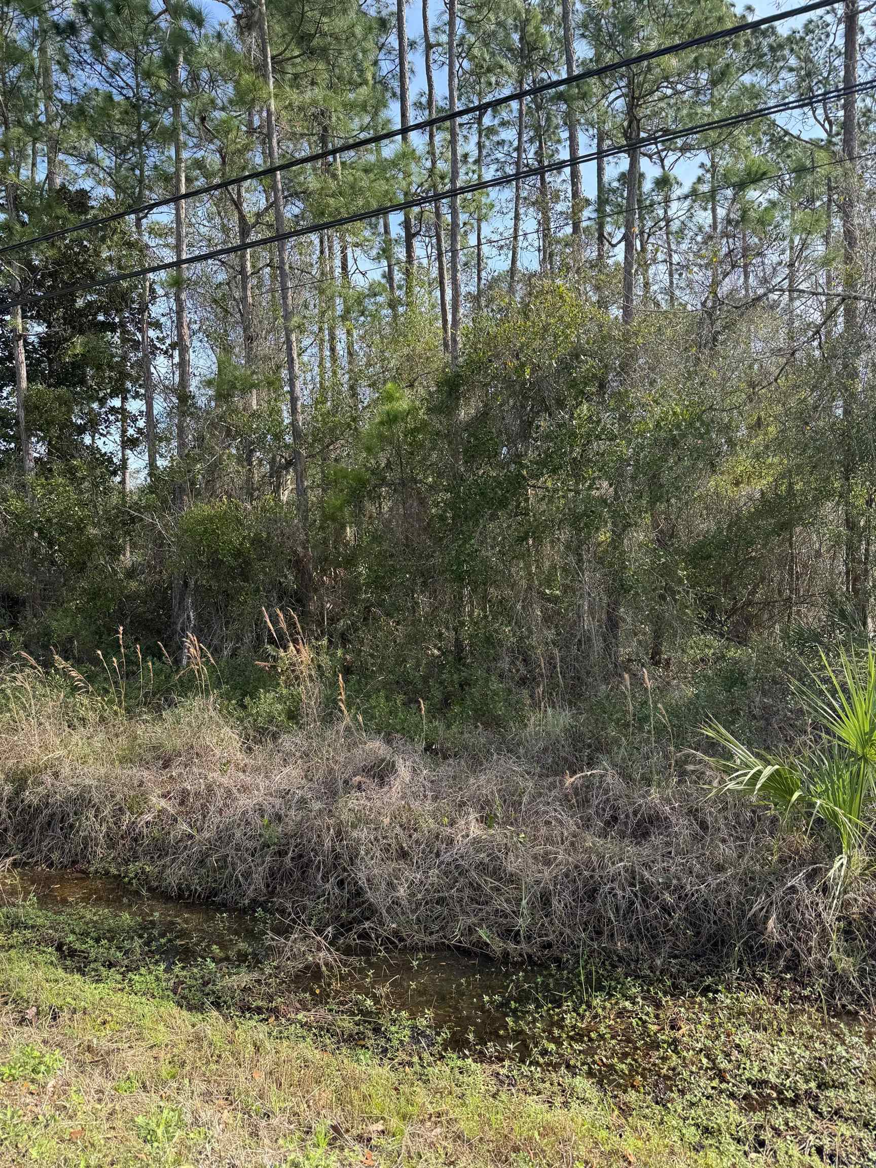 7628 Highway 1 St. Augustine, FL 32086 - Photo 2 of 7 a view of a lake view
