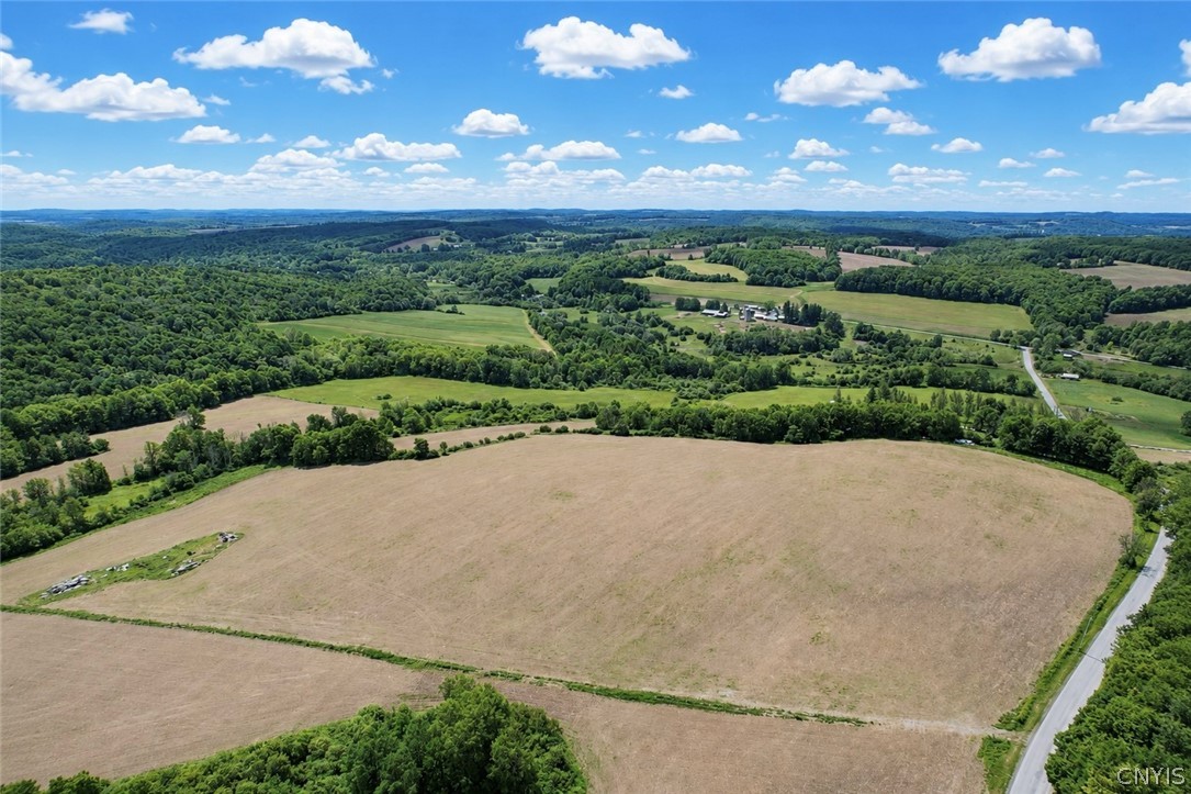 0 Roberts Road Eaton, NY 13334 - Photo 9 of 13